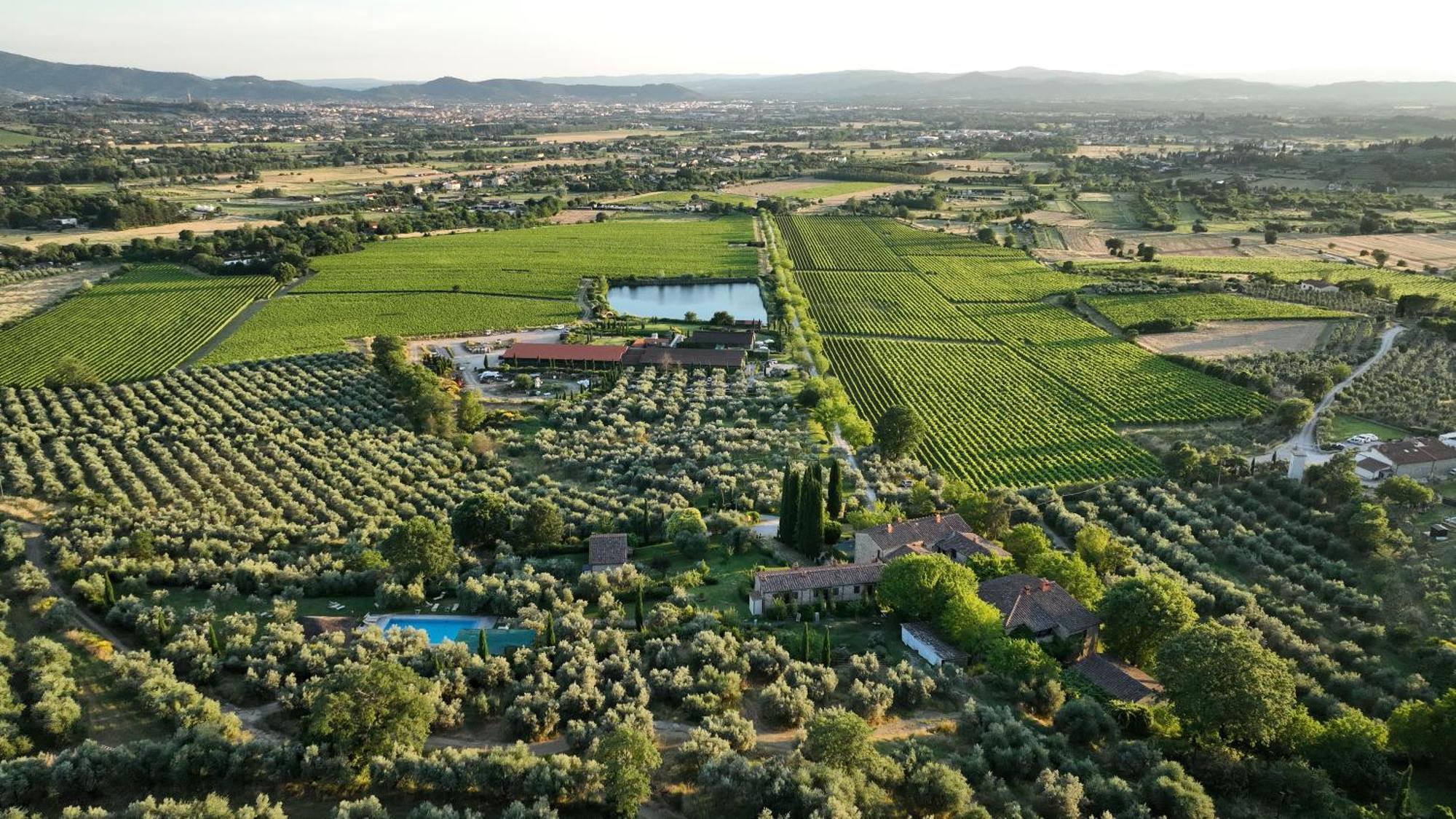 Il Palazzo - Agriturismo, Winery 阿雷佐 外观 照片