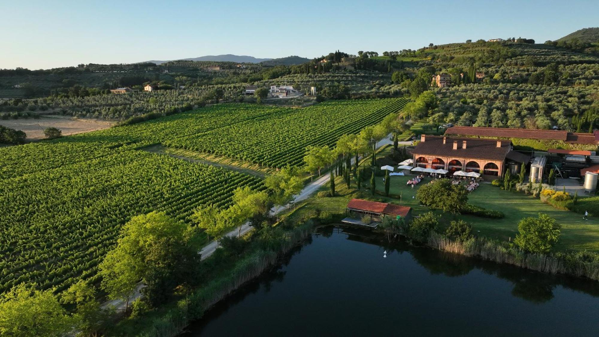 Il Palazzo - Agriturismo, Winery 阿雷佐 外观 照片
